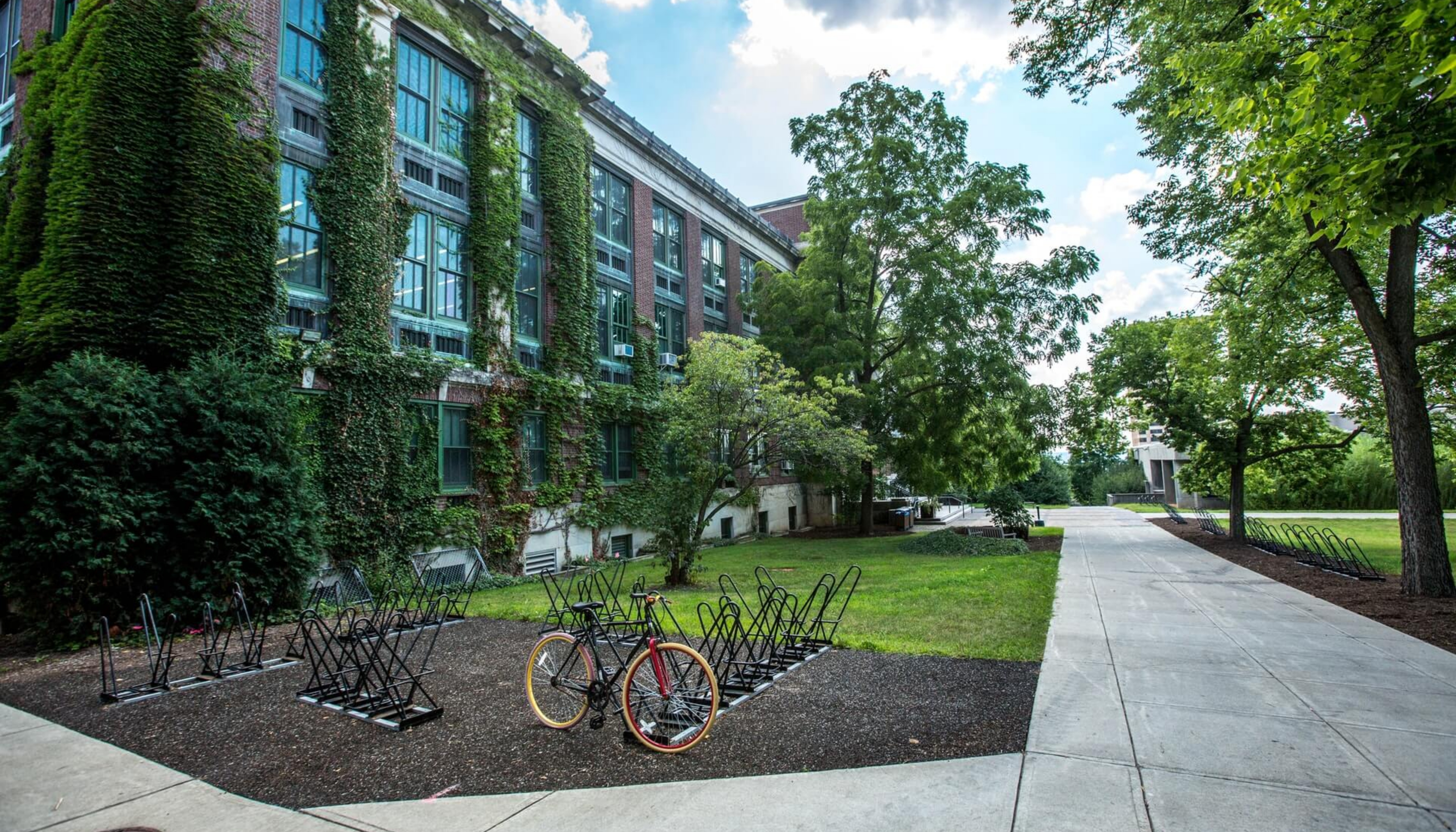 学校の風景