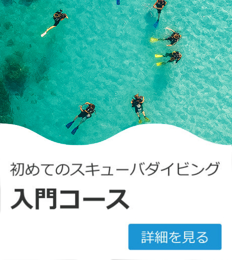 入門コース